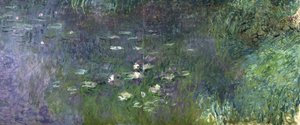 Nilüferler: Sabah, 1914-18 (sağ kısım) by Claude Monet